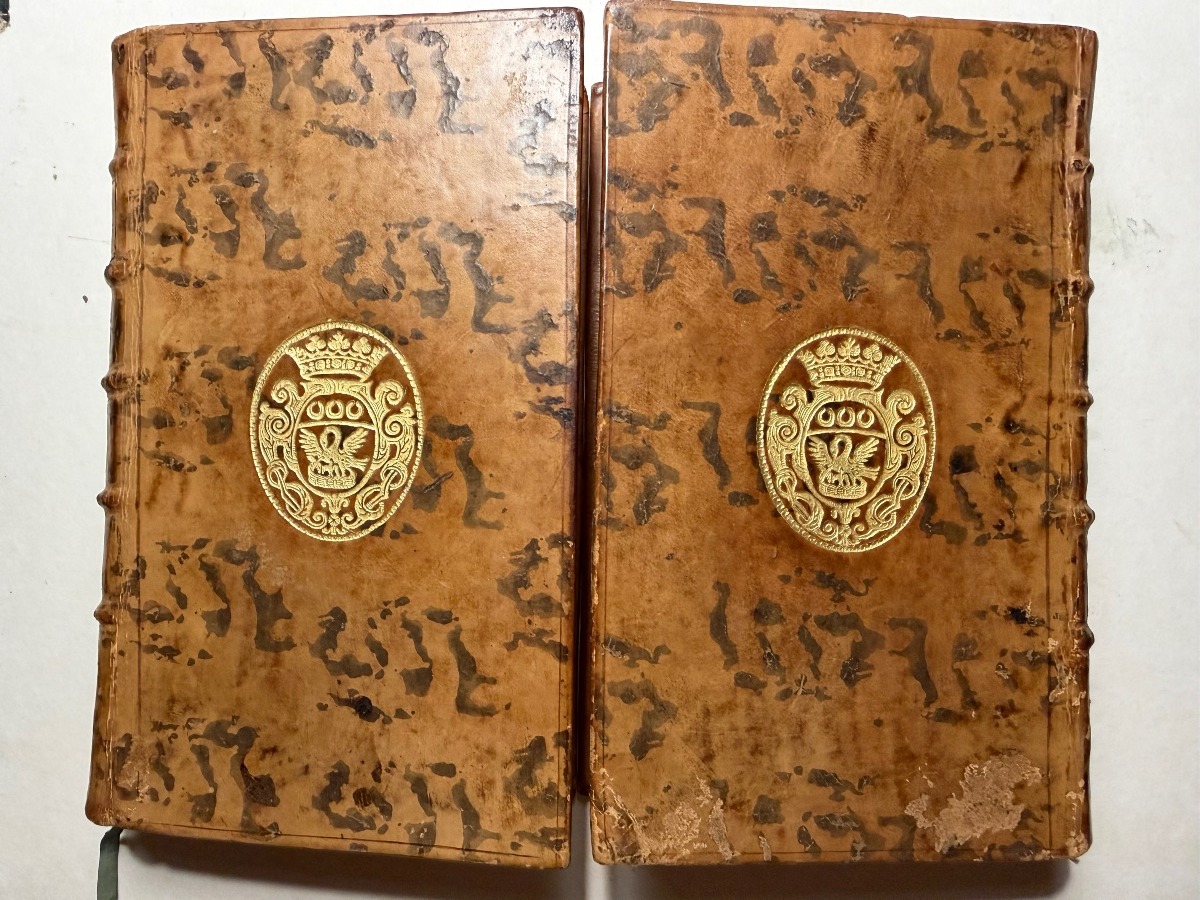 Suite à la Théorie de la terre 1776 Dos et plats aux Armes du" Marquis de Verneuil "2 Vol In 12-photo-2