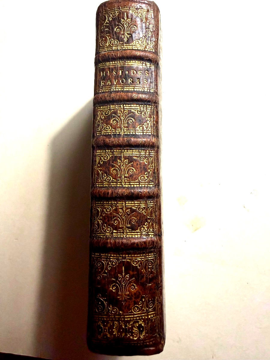 Vol. 12: History Of The Most Illustrious Favorites, Ancient And Modern, Published By Aux Armes, Leiden, 1762-photo-2