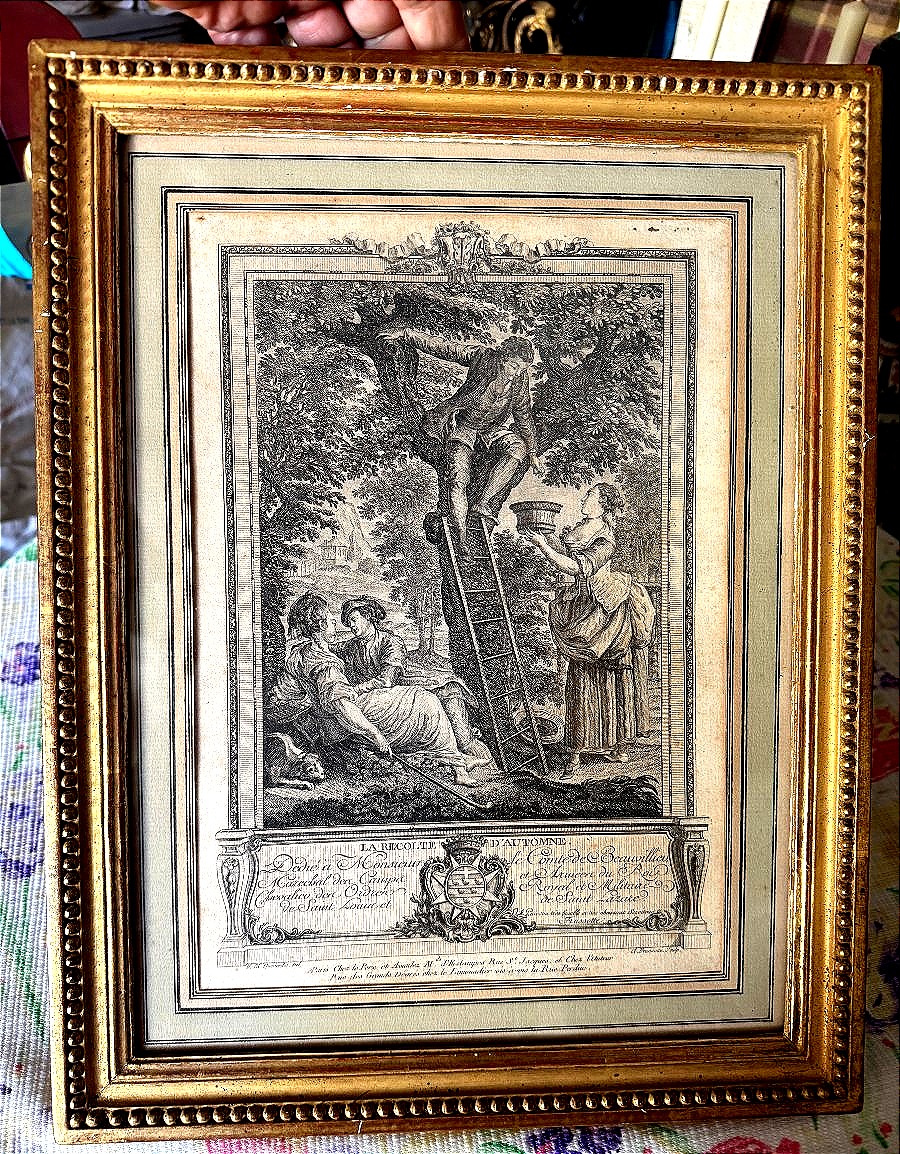 Fine Gravure XVIIIème cadre moulure bois doré perlé "La Récolte d'Automne" dédiée a Beauvillieu