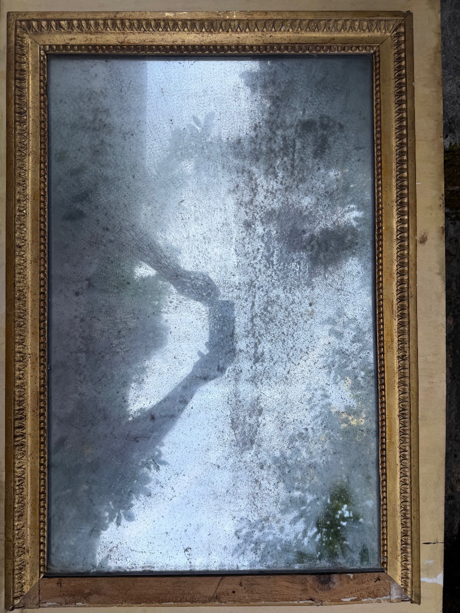 Louis XVI-style Mirrored Panel Made Of Gilded Wood Carved With Palmettes And Original Tin On Three Sides And The Back-photo-3
