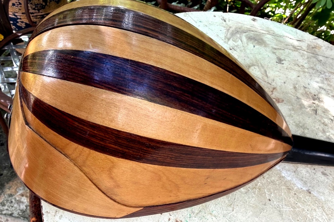  Decorative Italian Mandolin Made Of Sycamore, Rosewood, And Ebony, With A Neck Dating From The Early 20th Century-photo-3