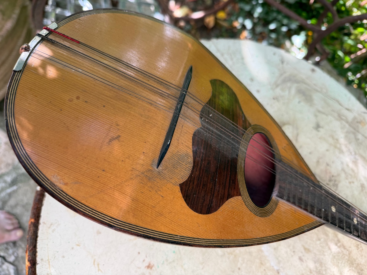  Decorative Italian Mandolin Made Of Sycamore, Rosewood, And Ebony, With A Neck Dating From The Early 20th Century-photo-1