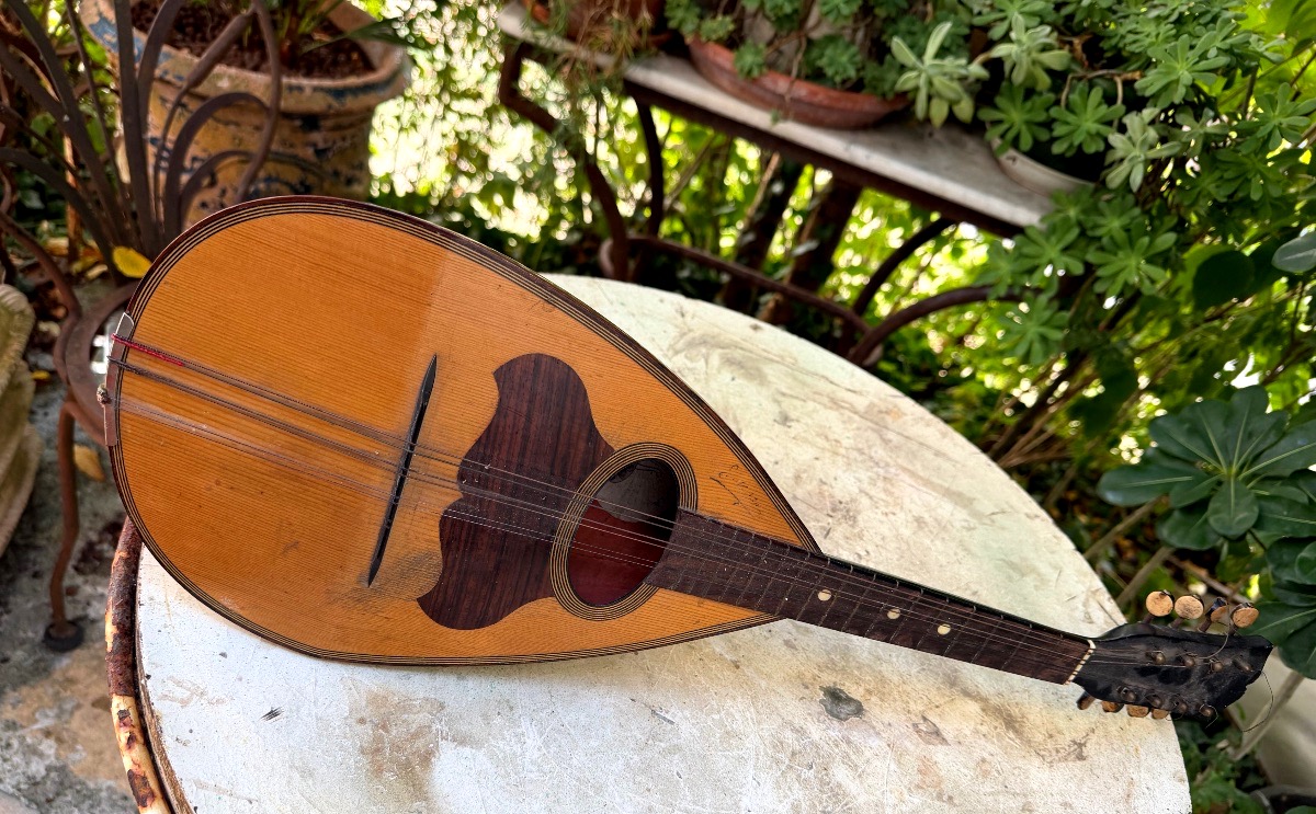  Decorative Italian Mandolin Made Of Sycamore, Rosewood, And Ebony, With A Neck Dating From The Early 20th Century-photo-3