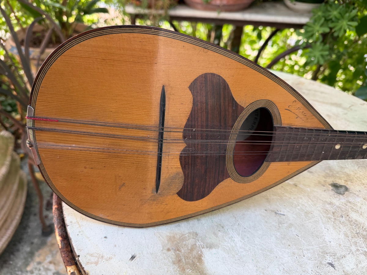 Decorative Italian Mandolin Made Of Sycamore, Rosewood, And Ebony, With A Neck Dating From The Early 20th Century-photo-4