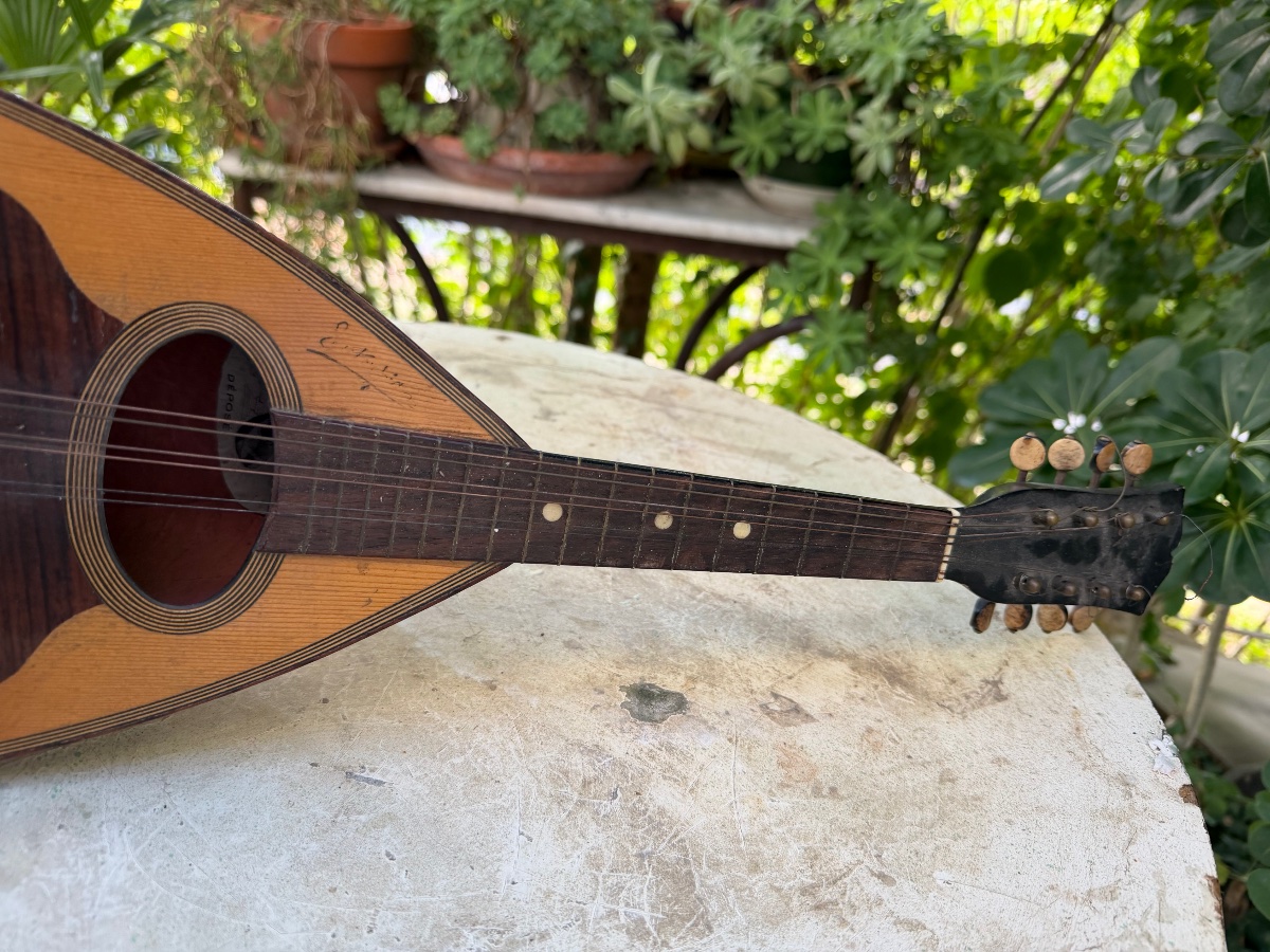  Decorative Italian Mandolin Made Of Sycamore, Rosewood, And Ebony, With A Neck Dating From The Early 20th Century-photo-5
