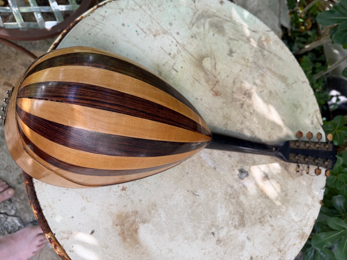  Decorative Italian Mandolin Made Of Sycamore, Rosewood, And Ebony, With A Neck Dating From The Early 20th Century-photo-6