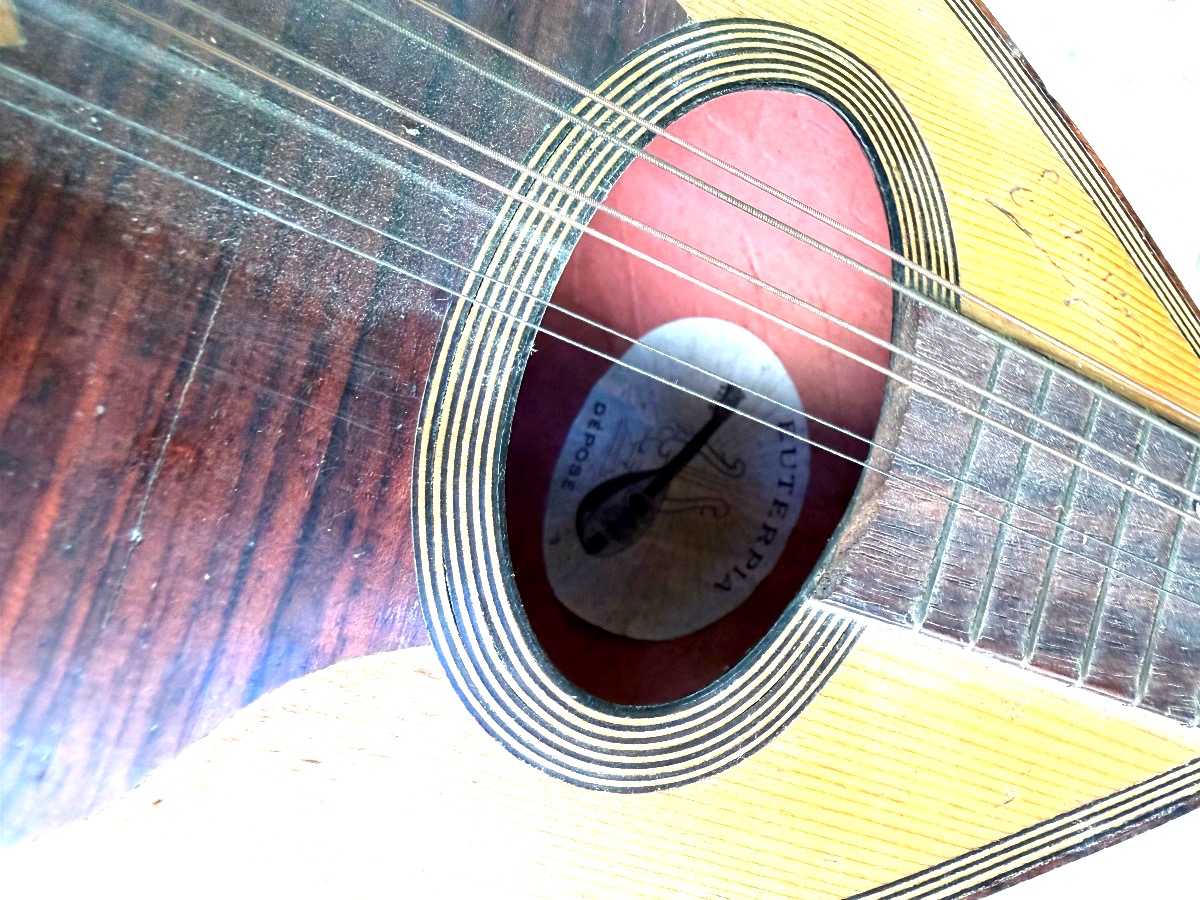  Decorative Italian Mandolin Made Of Sycamore, Rosewood, And Ebony, With A Neck Dating From The Early 20th Century-photo-8