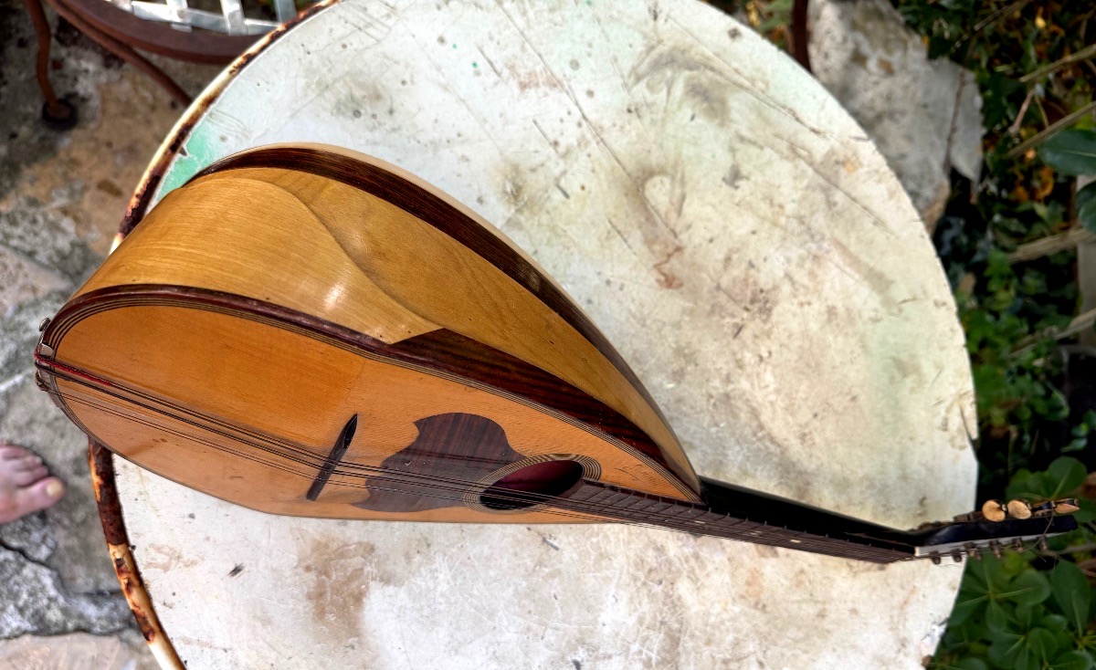  Decorative Italian Mandolin Made Of Sycamore, Rosewood, And Ebony, With A Neck Dating From The Early 20th Century