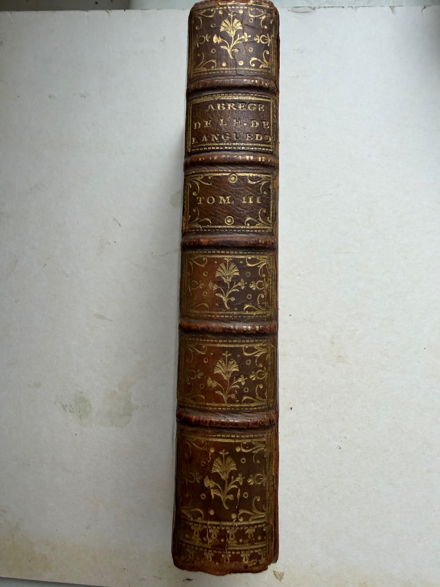 From The Library: Charles Le Goux De La Berchère: *a Summary Of The General History Of Languedoc*-photo-1