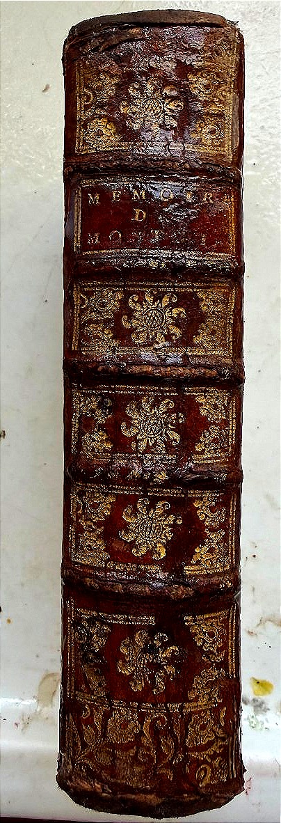 Mémoires de Mr de Montchal .Sur les particularités de la Vie et du Ministère de Richelieu. 1718