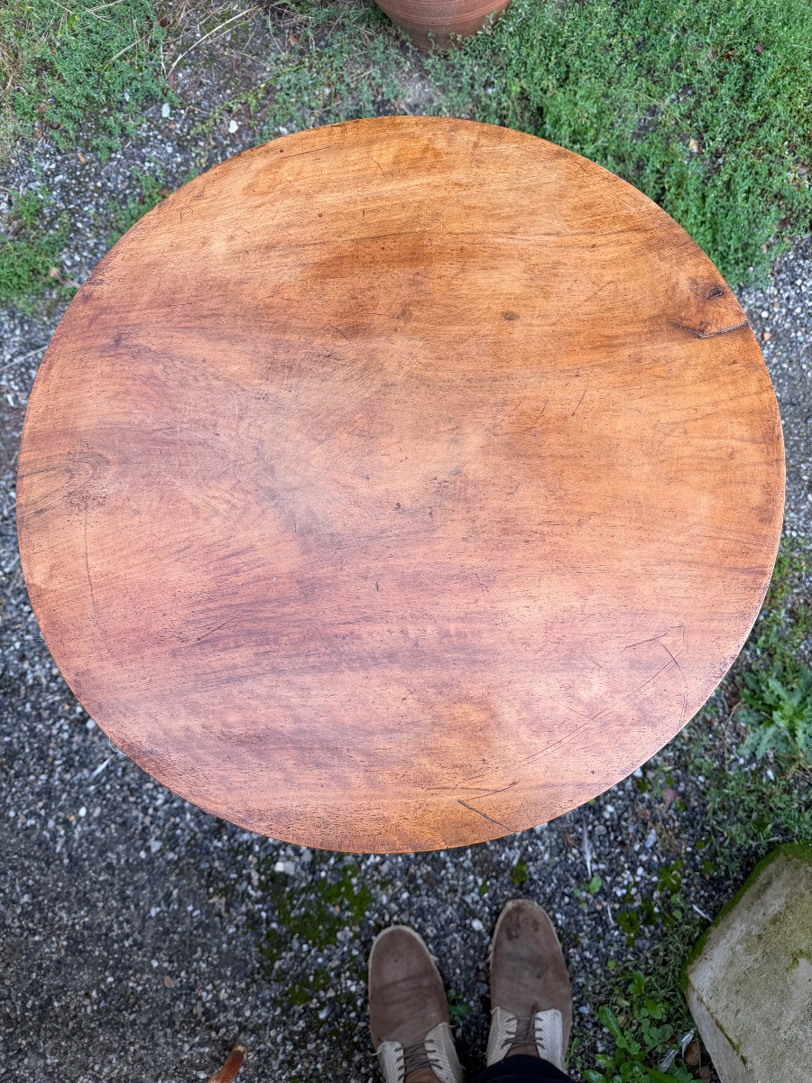 Little Table Walnut-photo-8