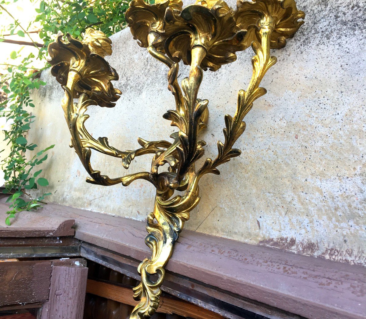Rare Paire de grandes Appliques Cinq Branches d'Epoque Louis XV  Feuille de Chêne dorées au mercure-photo-4