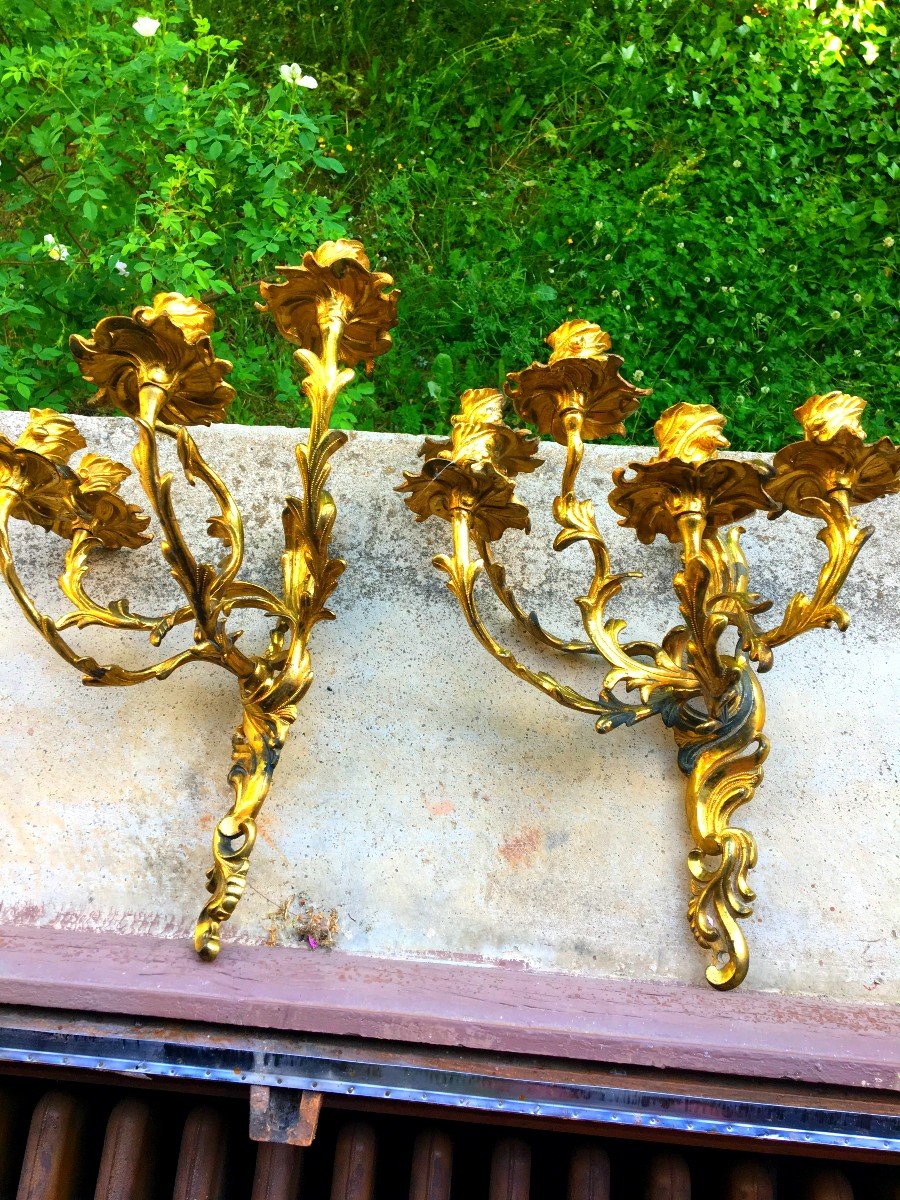Rare Paire de grandes Appliques Cinq Branches d'Epoque Louis XV  Feuille de Chêne dorées au mercure-photo-6