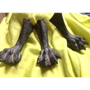 rare ensemble de pieds griffe d'époque Romaine , pièce d'archéologie d'élément de torchère 2èm 