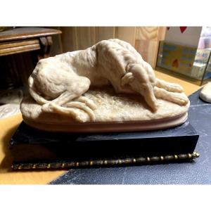  Délicat Lévrier couché de Delabrièrre en albâtre sur socle marbre noir de Carrare bordé bronze