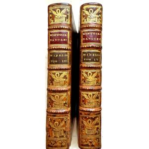 Bindings With The Arms Of The Marquis De Verneuil On The Spine And Covers, From 1776, Following The Theory Of The Earth