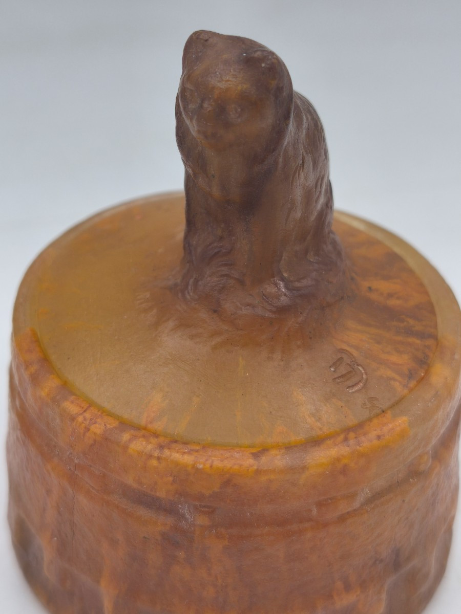 Amalric Walter - Pot Au Chat-photo-2