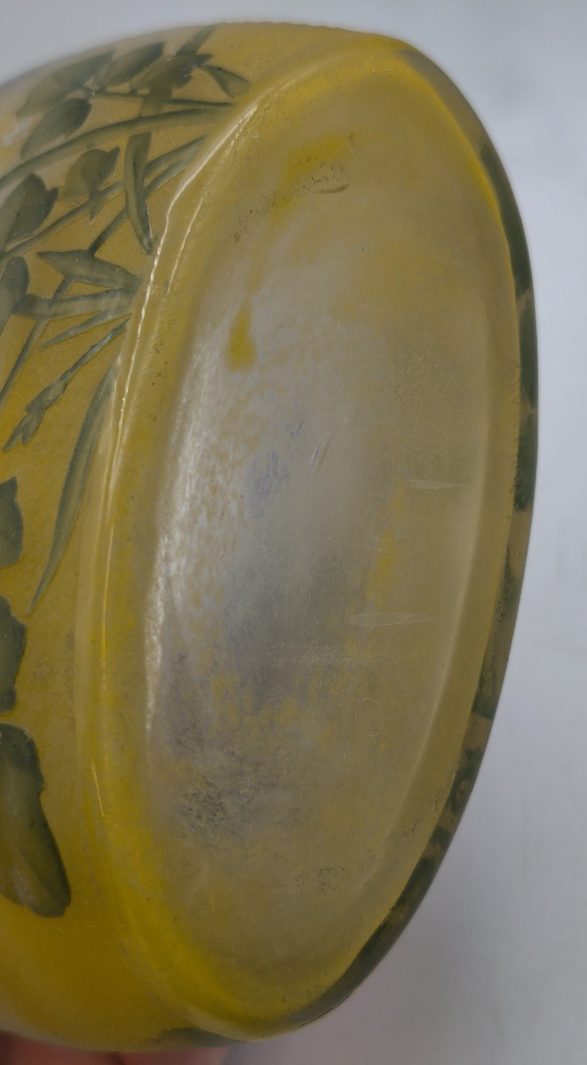 Daum - Vase de forme oreiller gravé émaillé à décor de violette africaine -photo-4