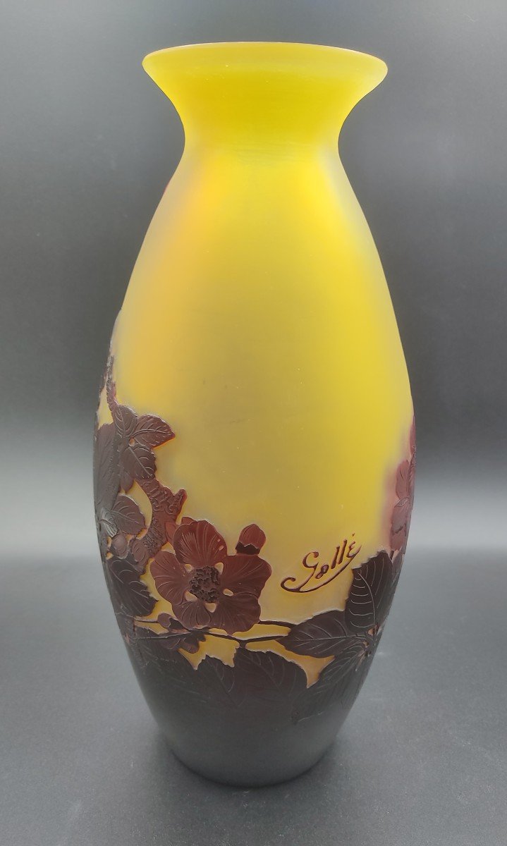 Emile Gallé - Glass Vase Decorated With Japanese Apple Blossoms-photo-4