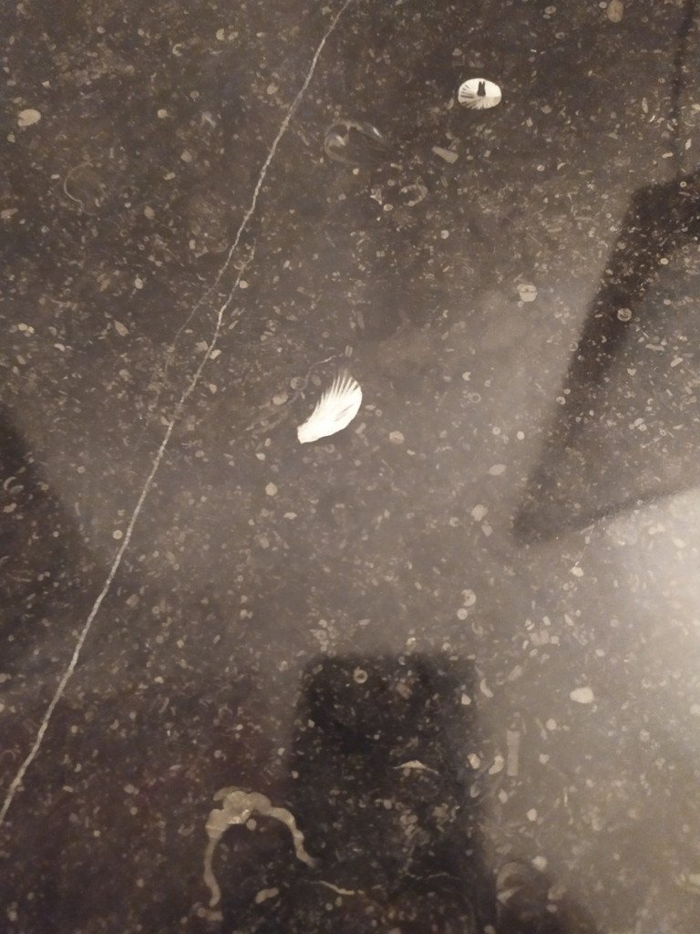 Empire Sideboard, Buffet, France  XXth Century-photo-3