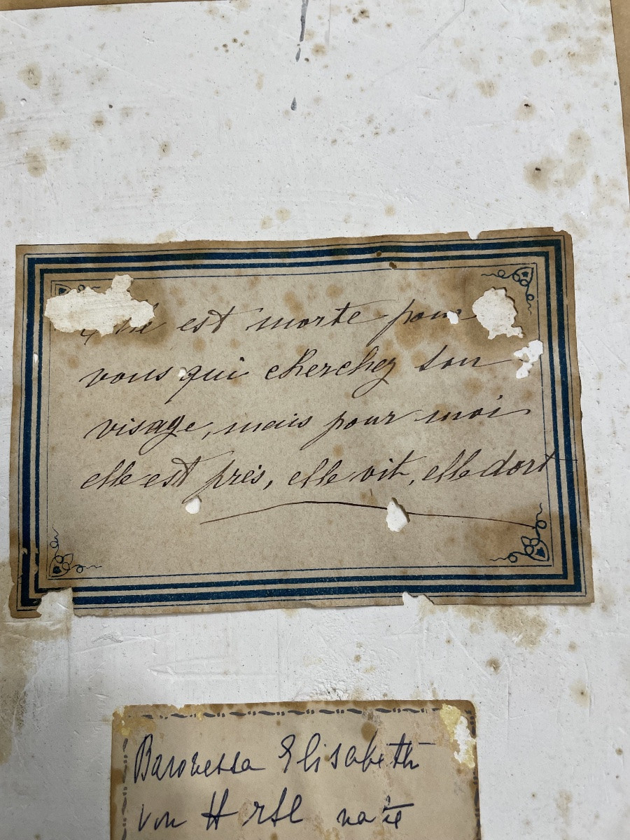 Plaster Portrait Of Elizabeth Von Trotta, 20th Century-photo-3