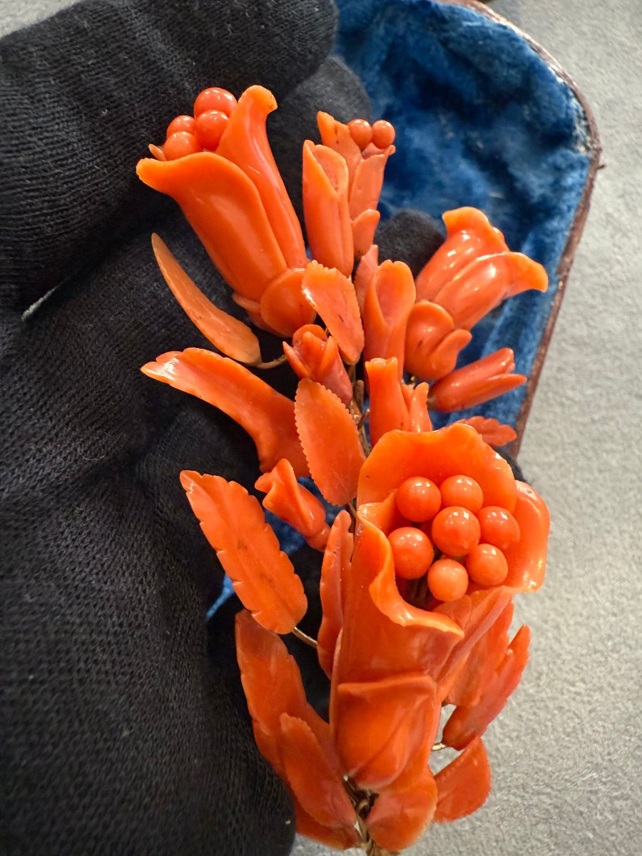 Broche florale et boucles d’oreilles en corail rouge, monture en or – Trapani, seconde moitié d-photo-4