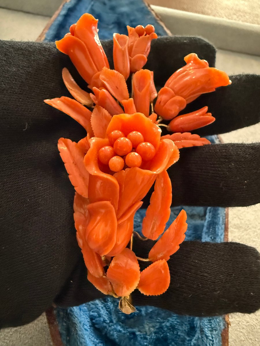 Broche florale et boucles d’oreilles en corail rouge, monture en or – Trapani, seconde moitié d-photo-3