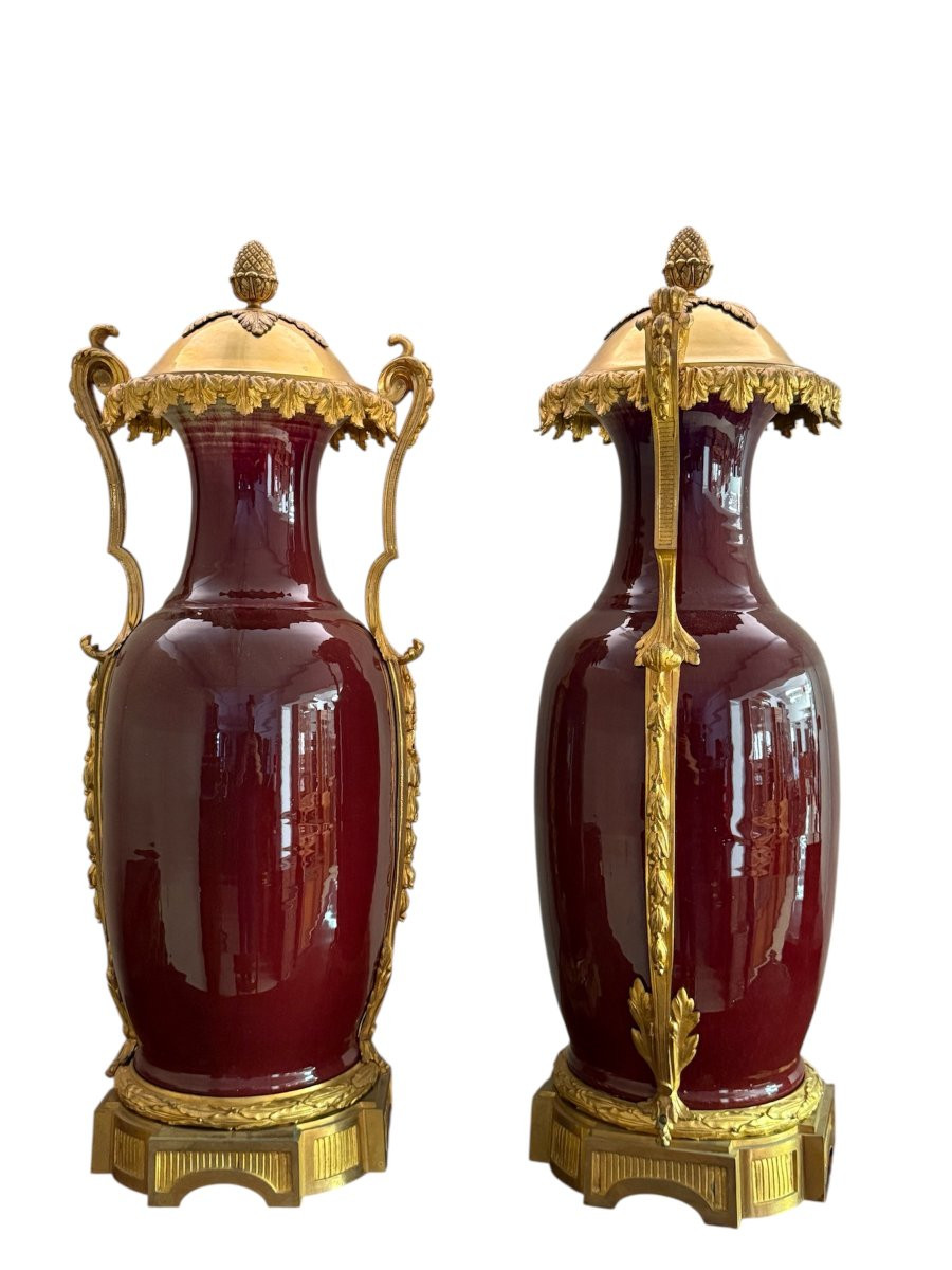 Pair Of French “sang-de-boeuf” Porcelain Vases With Gilt Bronze Mounts, 19th Century-photo-2