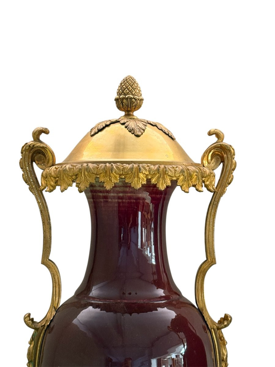 Pair Of French “sang-de-boeuf” Porcelain Vases With Gilt Bronze Mounts, 19th Century-photo-3