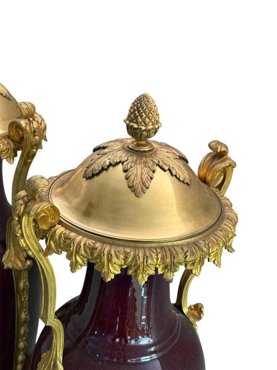 Pair Of French “sang-de-boeuf” Porcelain Vases With Gilt Bronze Mounts, 19th Century-photo-4