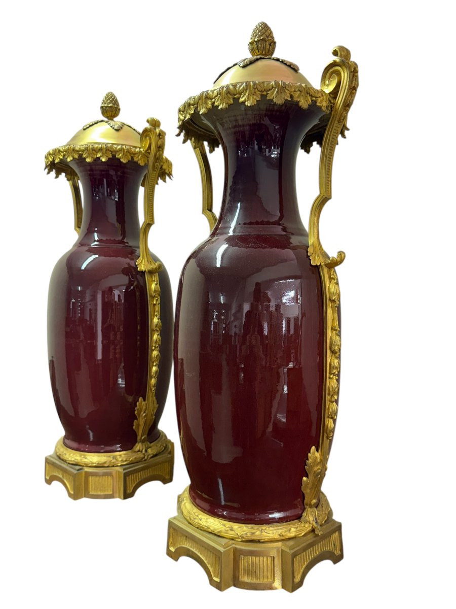 Pair Of French “sang-de-boeuf” Porcelain Vases With Gilt Bronze Mounts, 19th Century-photo-7