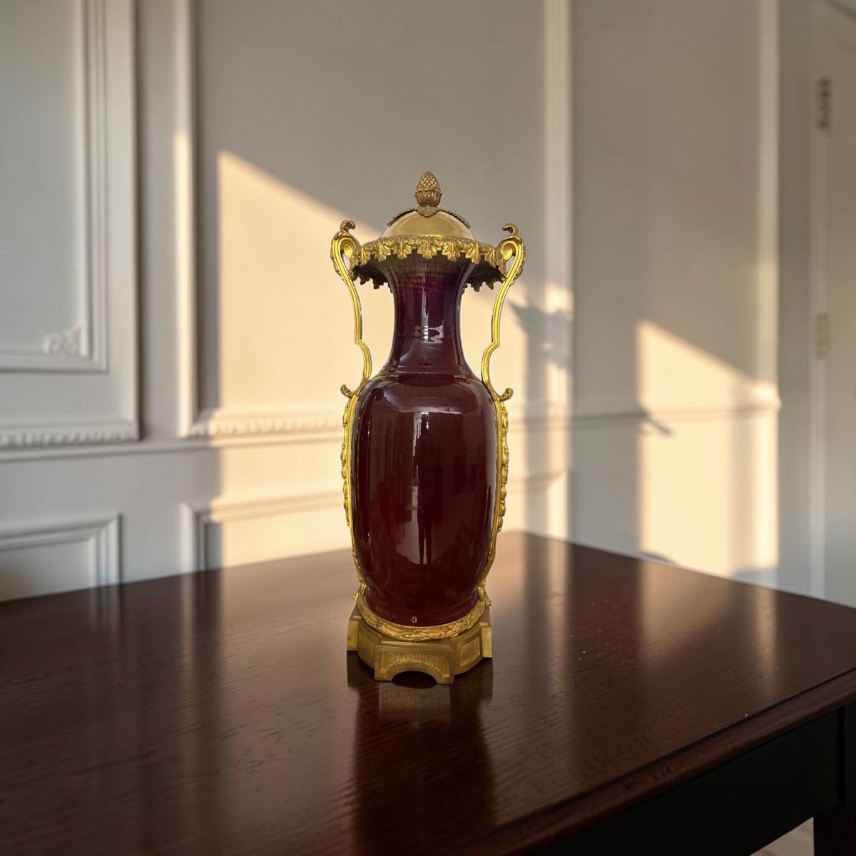 Paire de vases français en porcelaine sang-de-bœuf et bronze doré -photo-4