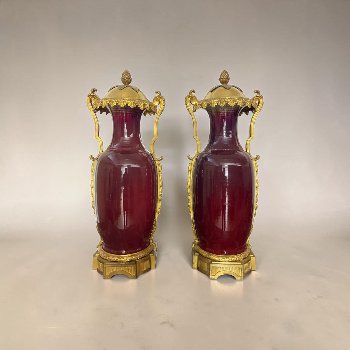 Paire de vases français en porcelaine sang-de-bœuf et bronze doré -photo-2