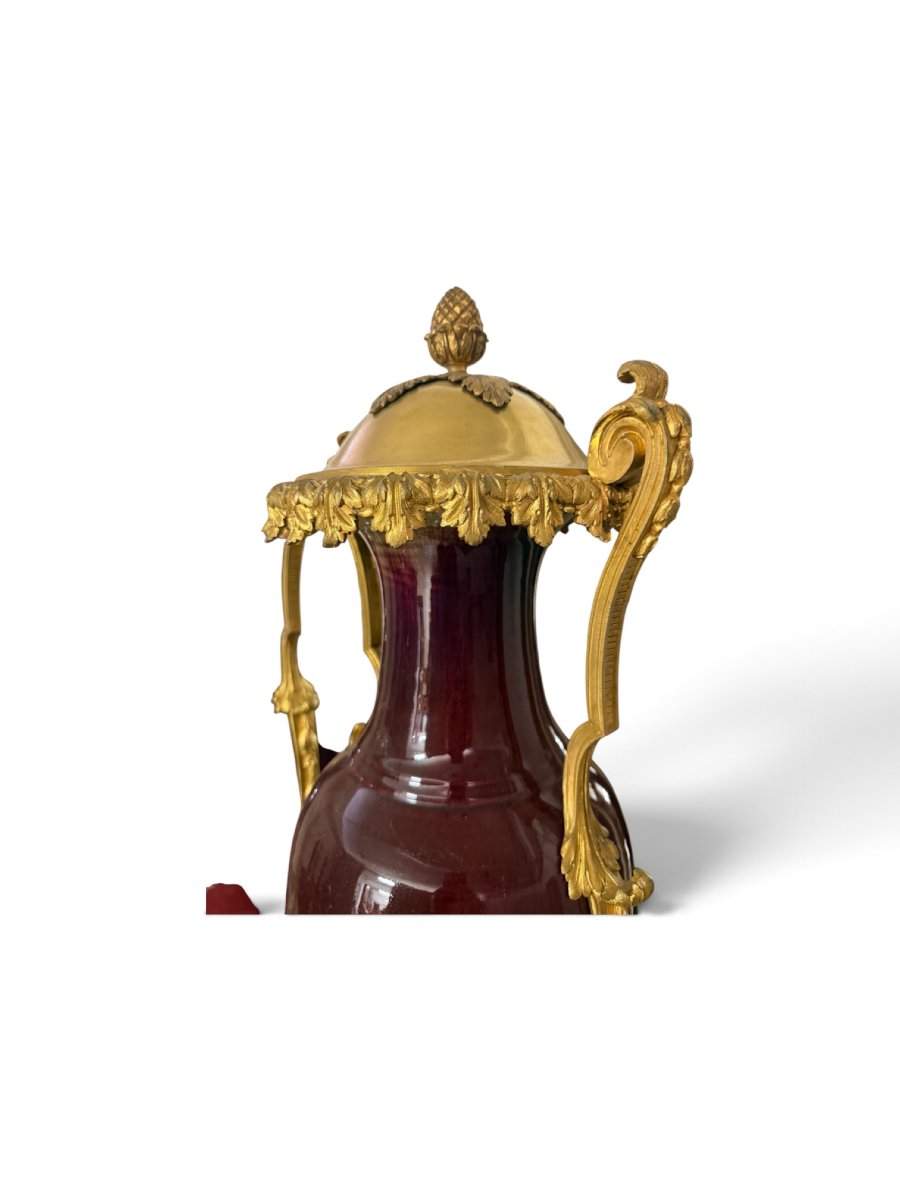Paire de vases français en porcelaine sang-de-bœuf et bronze doré -photo-2