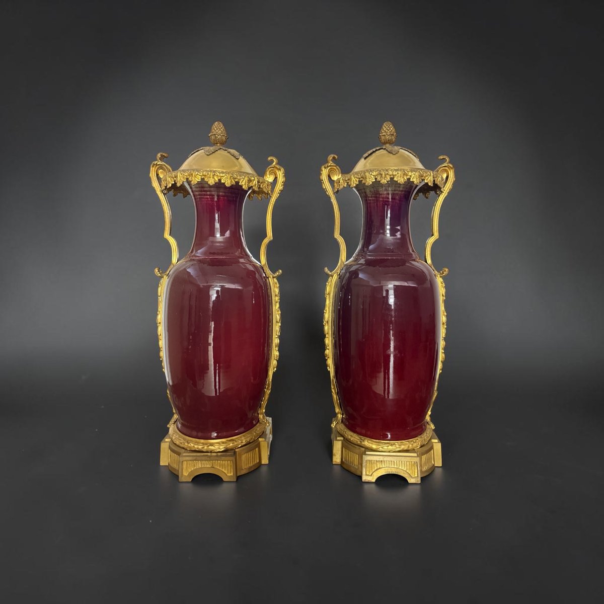 Paire de vases français en porcelaine sang-de-bœuf et bronze doré 