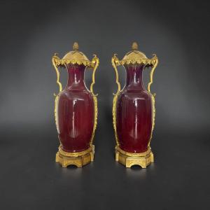 Pair Of French Vases In Oxblood Porcelain And Gilded Bronze