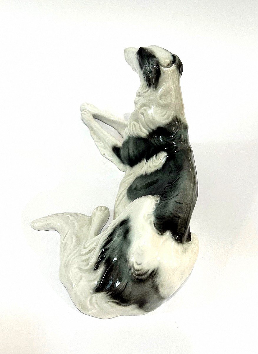 Lévrier Russe En Porcelaine Rosenthal-photo-4
