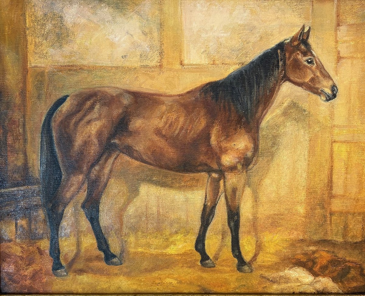 Peintre tchèque Ivana Jurná Lipská " Cheval "-photo-2
