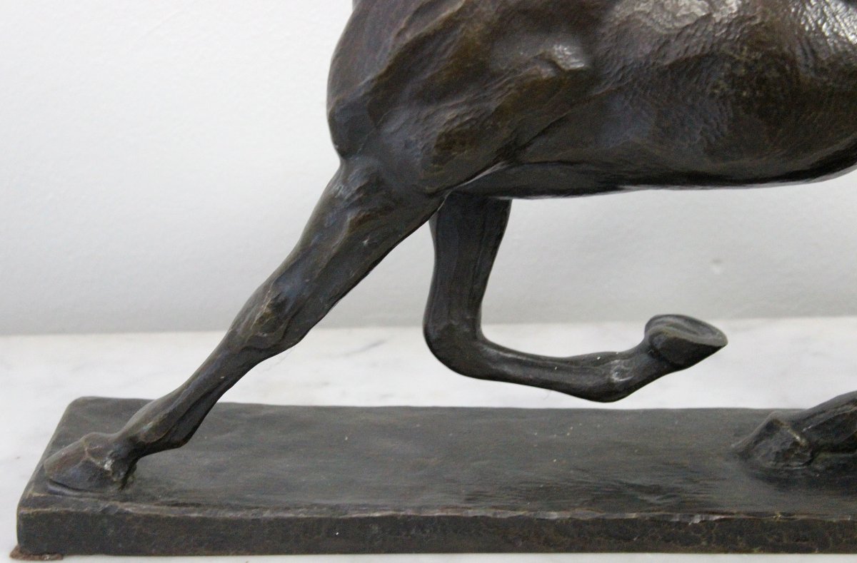 Hans Hechel. German Sculptor Large Bronze Statue Of A Horse Length 64 Cm-photo-4