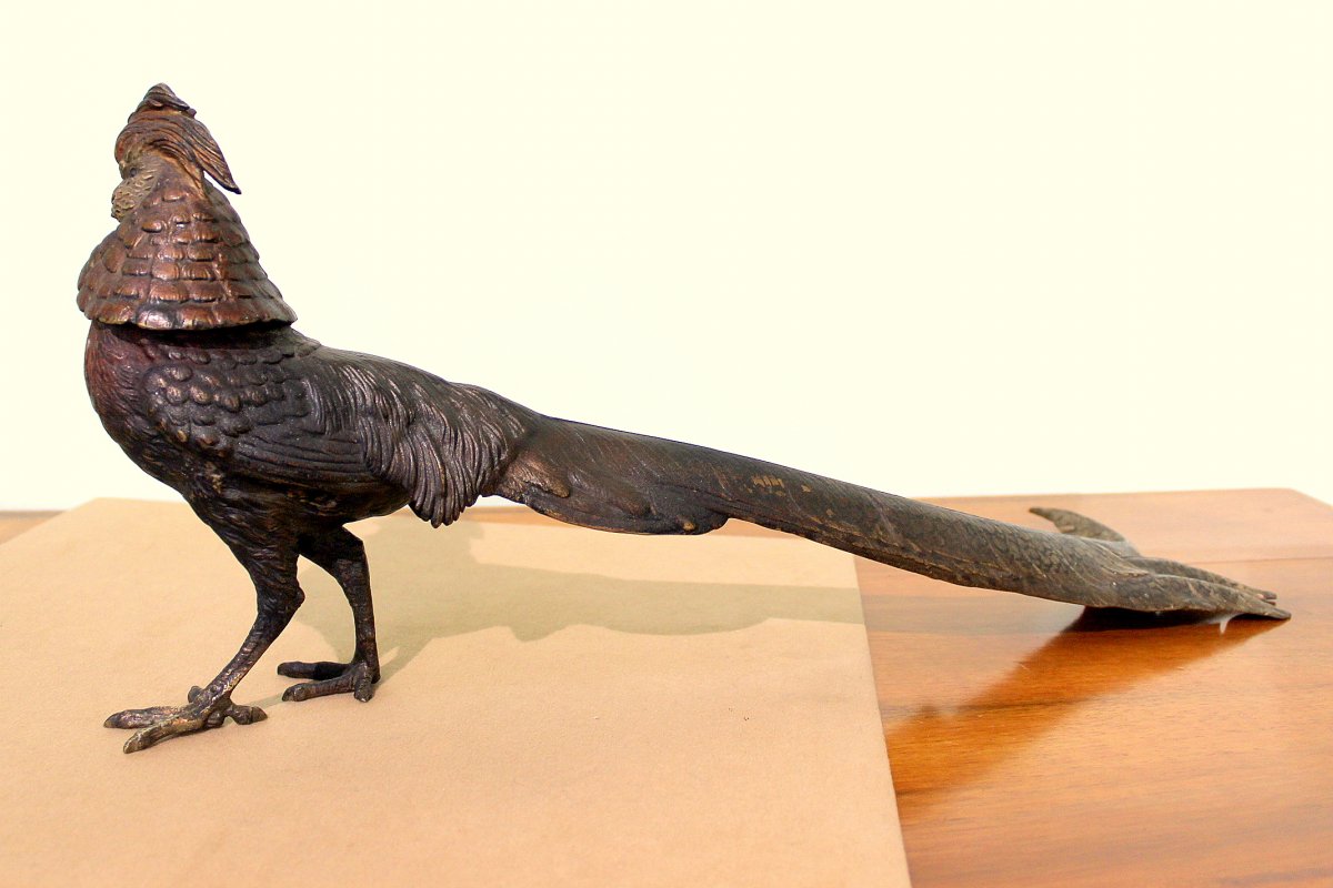 Viennese Pheasant In Bronze End Of The 19th Century/ Beginning Of The 20th Century Length 55cm-photo-1