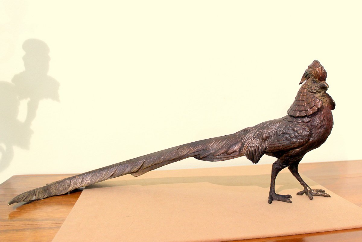 Viennese Pheasant In Bronze End Of The 19th Century/ Beginning Of The 20th Century Length 55cm