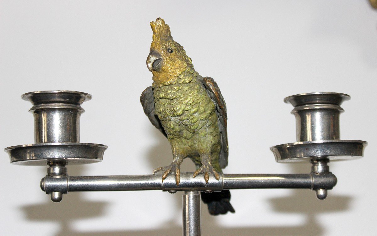 Viennese Bronze, Candlestick With Parrot-photo-2