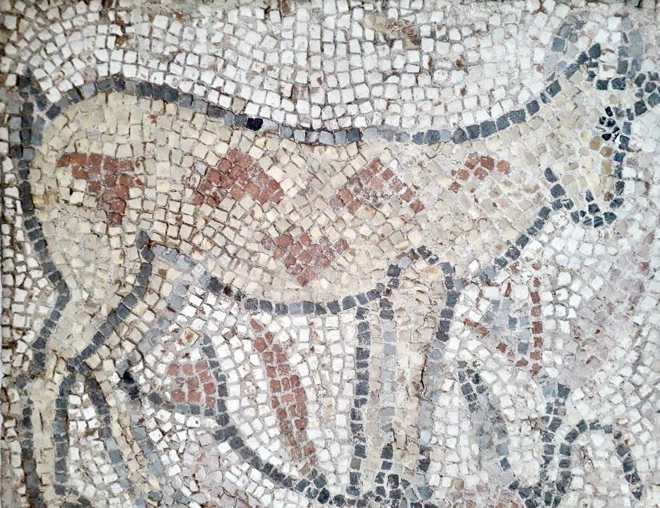 Animal Mosaic Carthaginian Iith Century