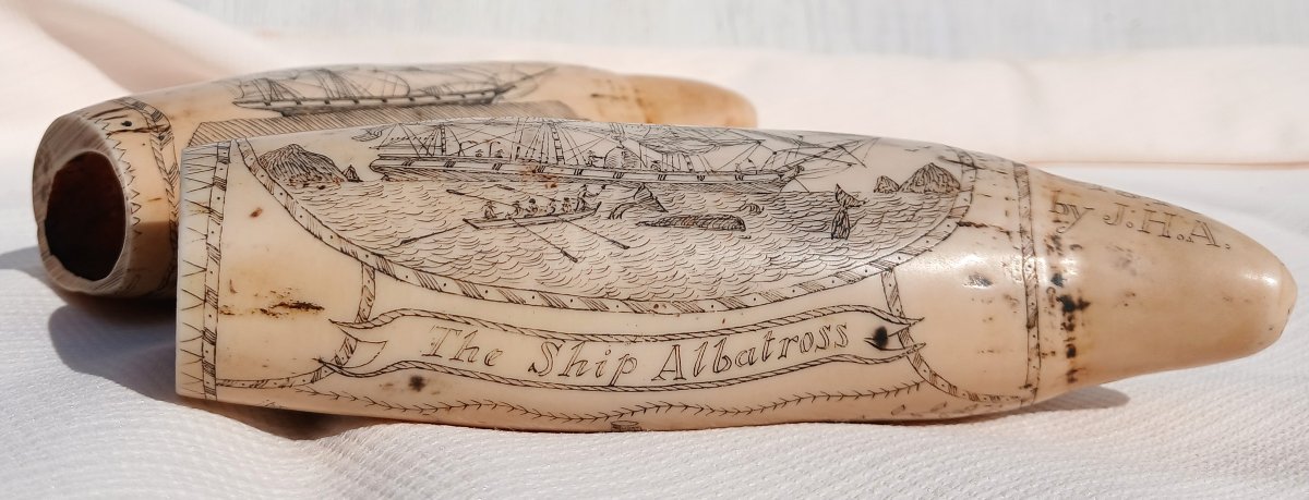 Two 'scrimshaws', Dated 1840. The Ship Albatross.-photo-2