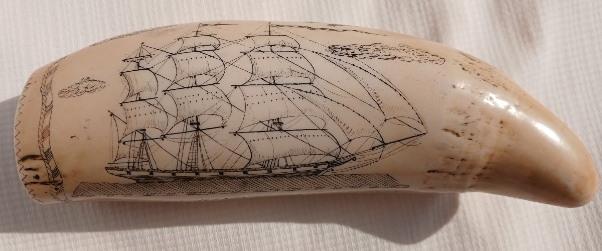 Two 'scrimshaws', Dated 1840. The Ship Albatross.-photo-3