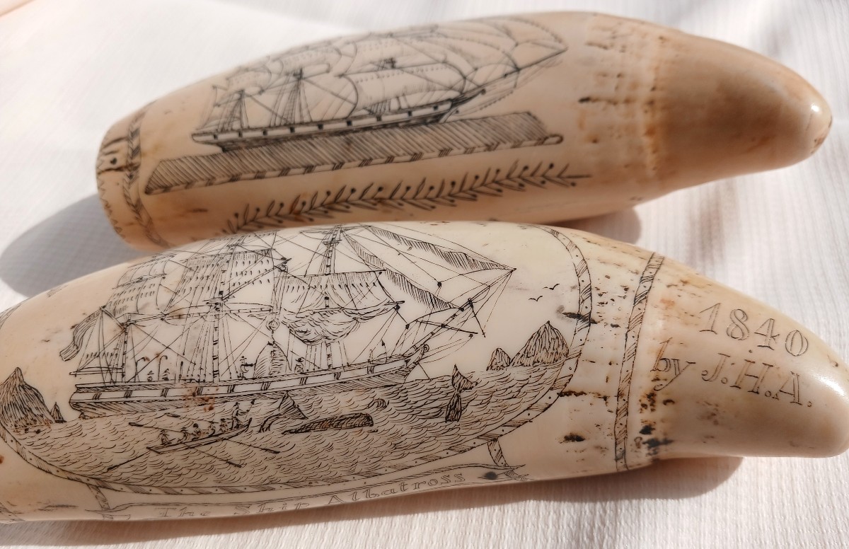 Two 'scrimshaws', Dated 1840. The Ship Albatross.