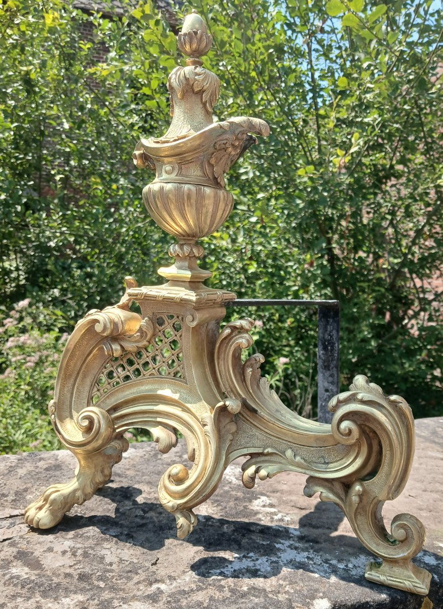 Paire de Chenets en Bronze-doré Louis XV-photo-2