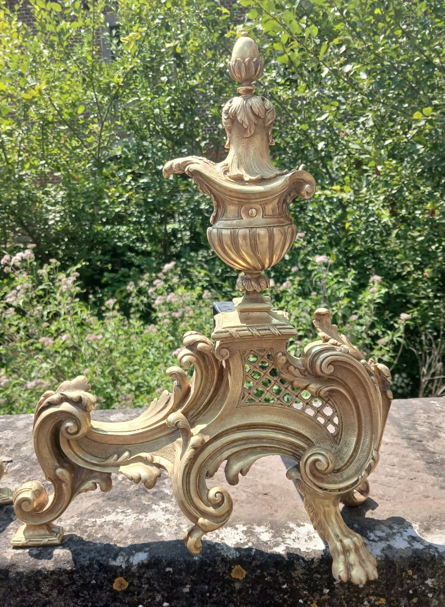 Paire de Chenets en Bronze-doré Louis XV-photo-3