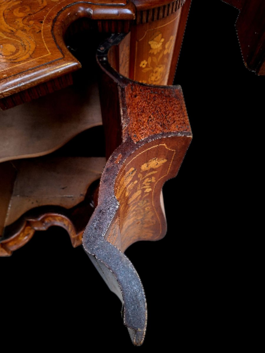 Dutch Marquetry Display Case -photo-6