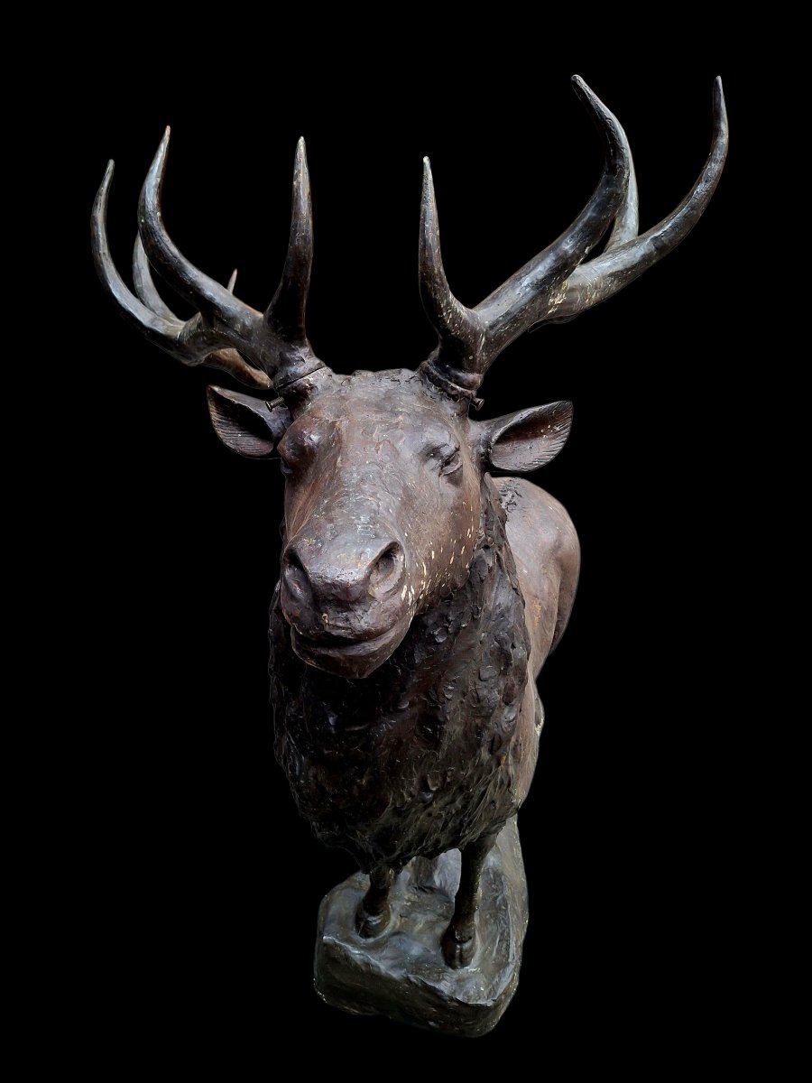 Bronze  Deer-photo-3